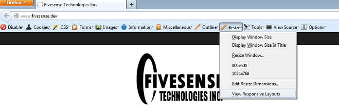 Image of the Web Developer Toolbar with the Resize menu expanded.